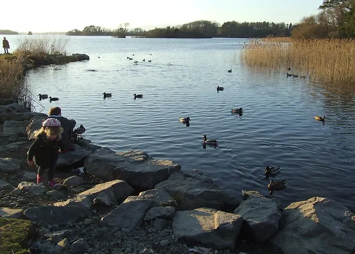 فندق مبيت وإفطار Rockfield House