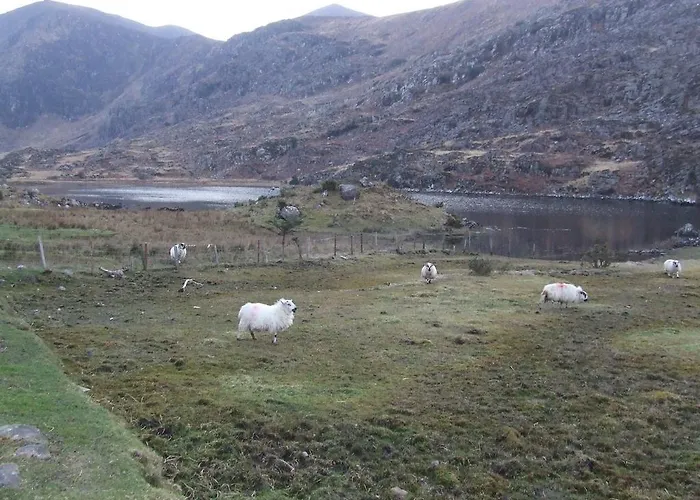 Bed & Breakfast Rockfield House